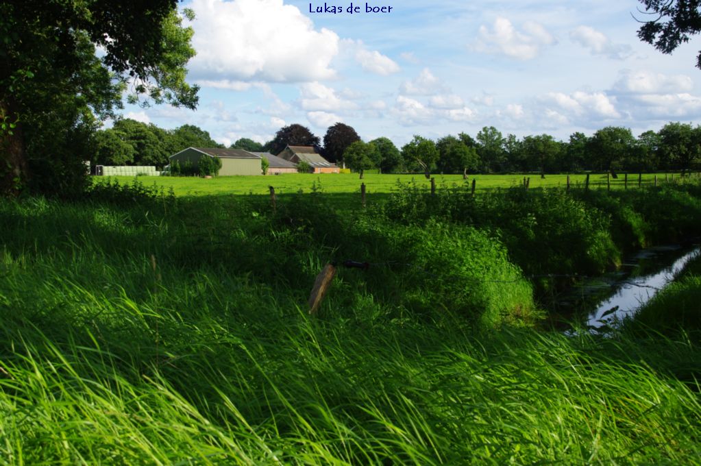 tour 2010 (6).jpg - achterlangs richting de Turfweg